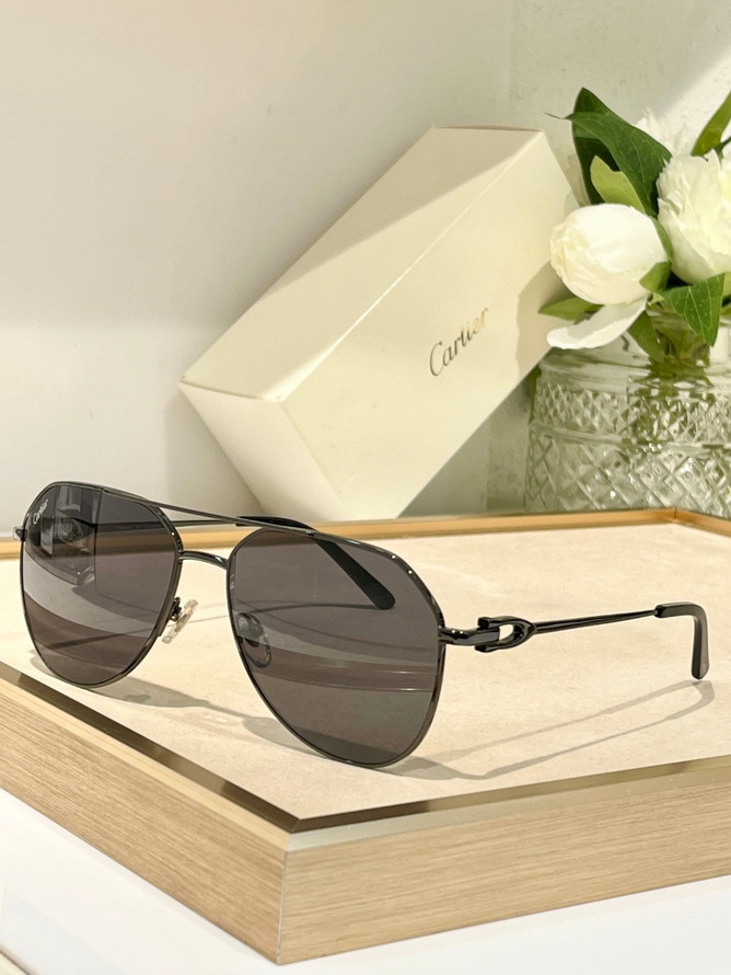 Cartier Sunglasses(AAAA)-1474