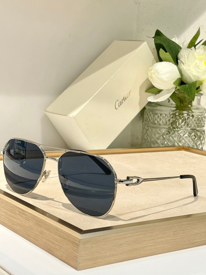 Cartier Sunglasses(AAAA)-1232