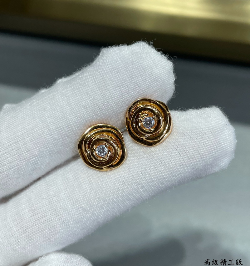 Dior Earrings-372